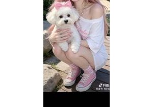 我的相册
