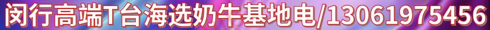 闵行高端T台海选奶牛基地_电话：1306197545