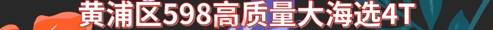 黄浦区598高质量大海选4T_QQ：2568923332