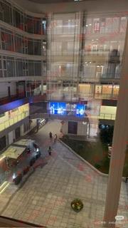 IMG_8502.jpeg
